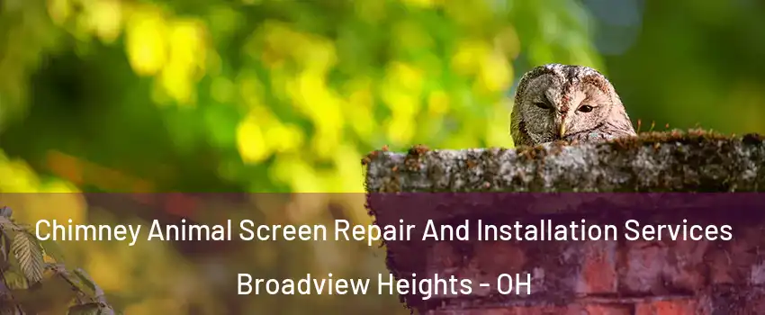  Chimney Animal Screen Repair And Installation Services Broadview Heights - OH