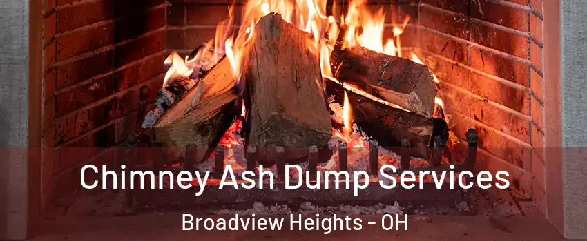  Chimney Ash Dump Services Broadview Heights - OH