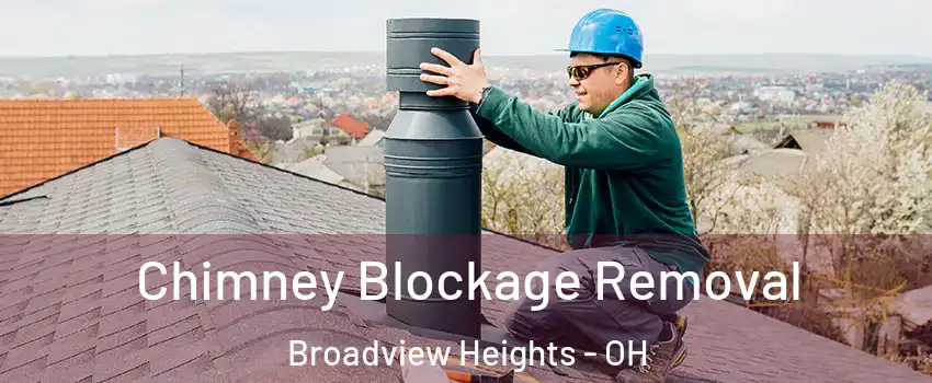  Chimney Blockage Removal Broadview Heights - OH