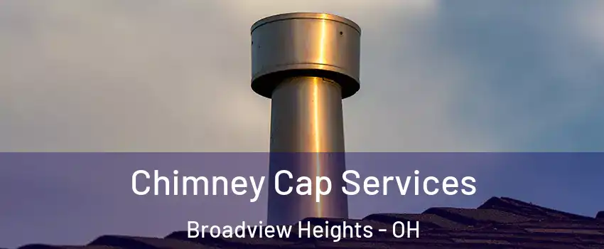  Chimney Cap Services Broadview Heights - OH