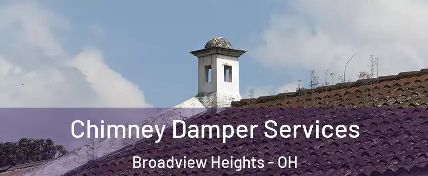  Chimney Damper Services Broadview Heights - OH