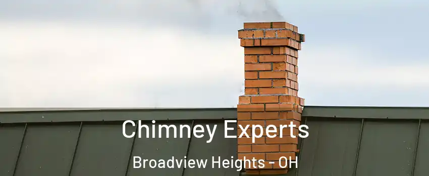 Chimney Experts Broadview Heights - OH