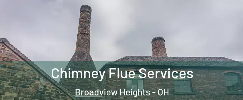  Chimney Flue Services Broadview Heights - OH
