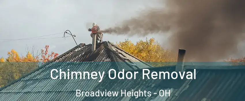  Chimney Odor Removal Broadview Heights - OH