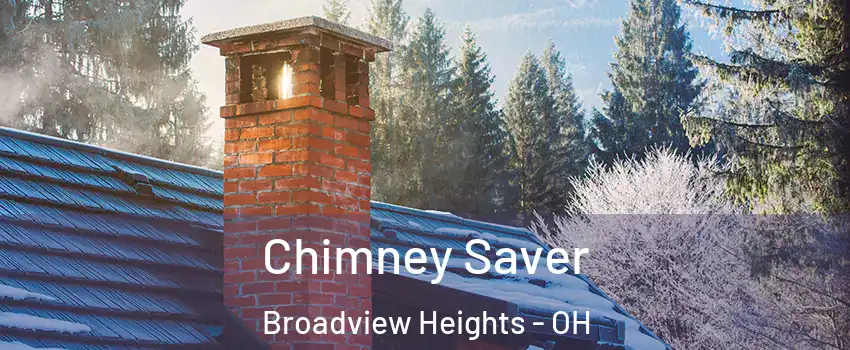  Chimney Saver Broadview Heights - OH