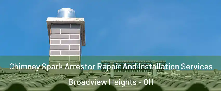  Chimney Spark Arrestor Repair And Installation Services Broadview Heights - OH