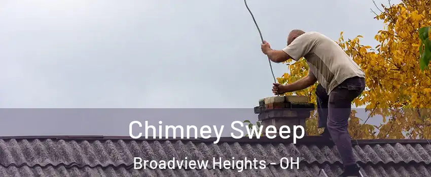  Chimney Sweep Broadview Heights - OH