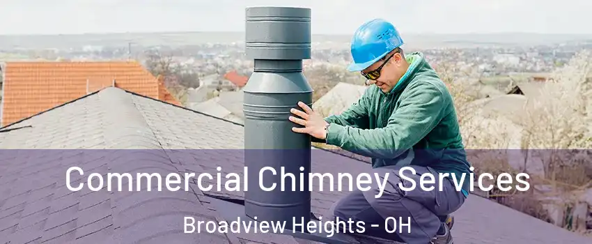  Commercial Chimney Services Broadview Heights - OH