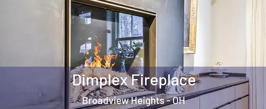  Dimplex Fireplace Broadview Heights - OH