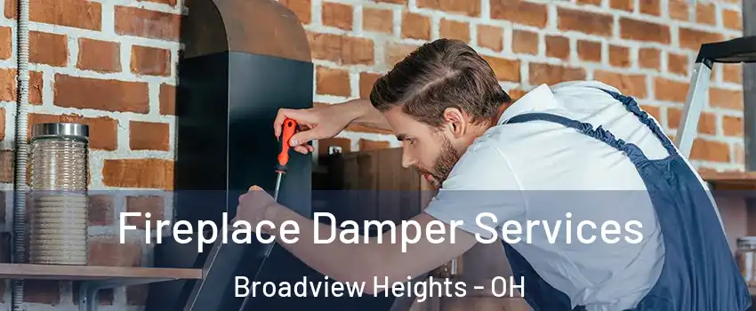  Fireplace Damper Services Broadview Heights - OH
