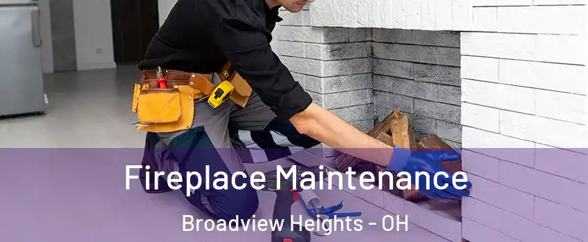  Fireplace Maintenance Broadview Heights - OH