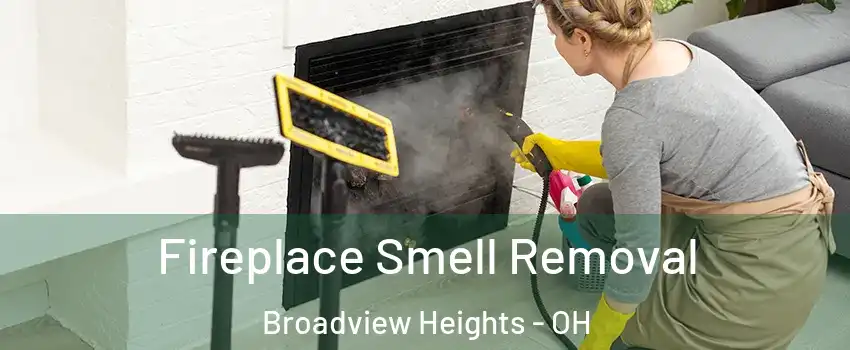  Fireplace Smell Removal Broadview Heights - OH