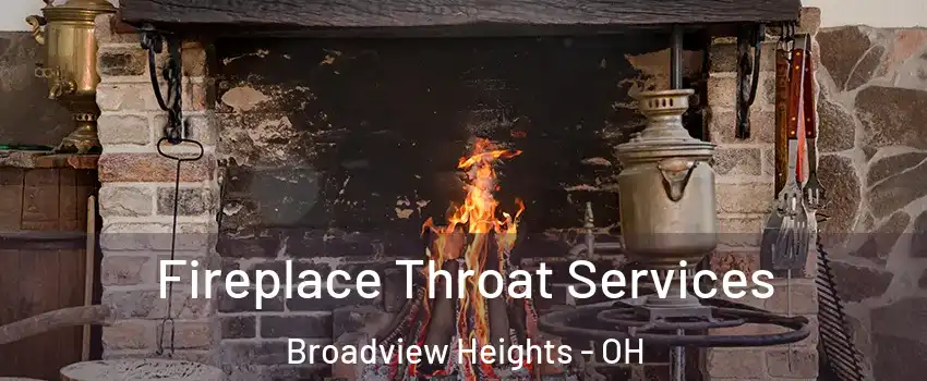  Fireplace Throat Services Broadview Heights - OH