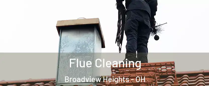  Flue Cleaning Broadview Heights - OH