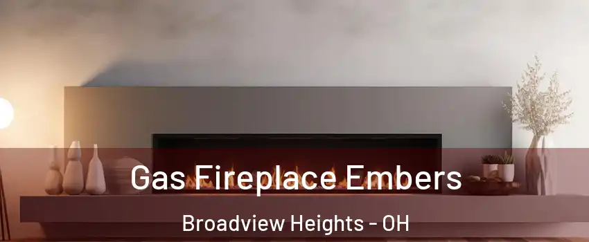  Gas Fireplace Embers Broadview Heights - OH