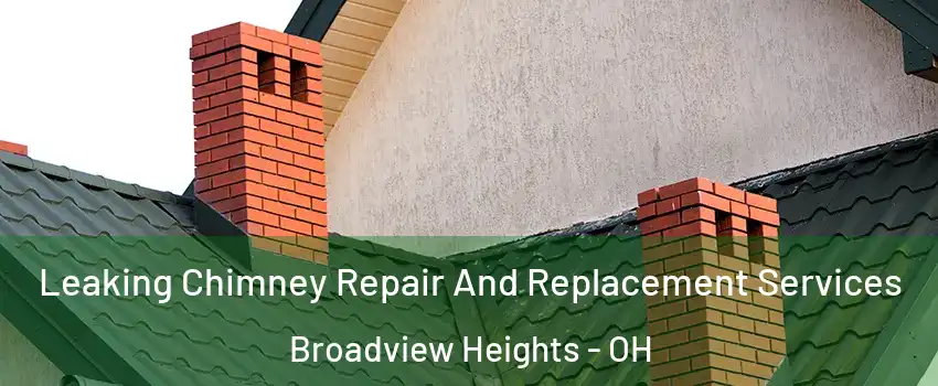  Leaking Chimney Repair And Replacement Services Broadview Heights - OH