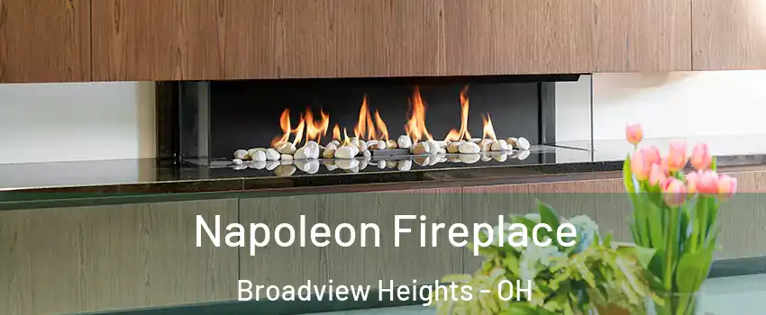  Napoleon Fireplace Broadview Heights - OH